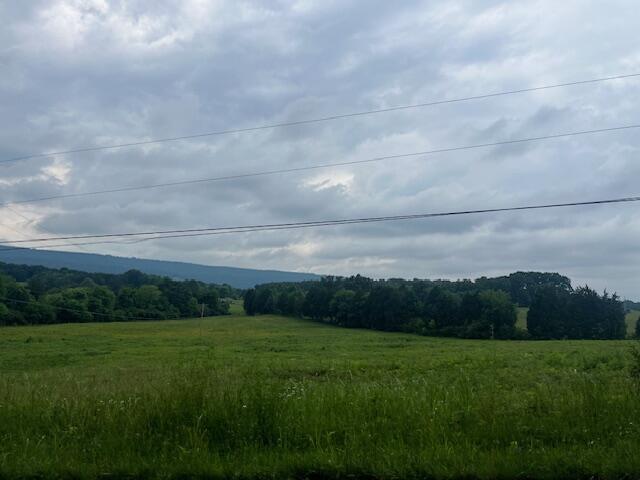 209 John Long Road, Spring City, Tennessee image 36