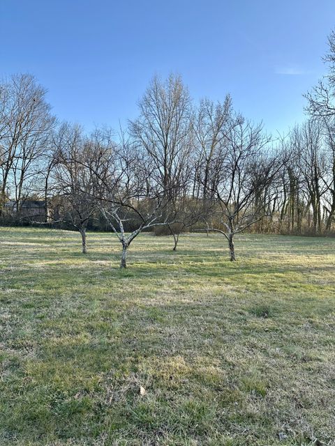 Tiny photo for 1213 S Chattanooga Street, LaFayette, GA 30728 (MLS # 1528028)