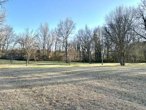 Tiny photo for 1213 S Chattanooga Street, LaFayette, GA 30728 (MLS # 1528028)