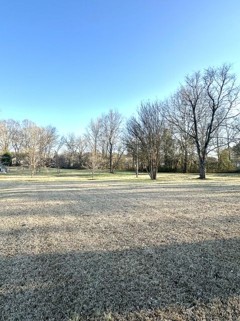 Tiny photo for 1213 S Chattanooga Street, LaFayette, GA 30728 (MLS # 1528028)