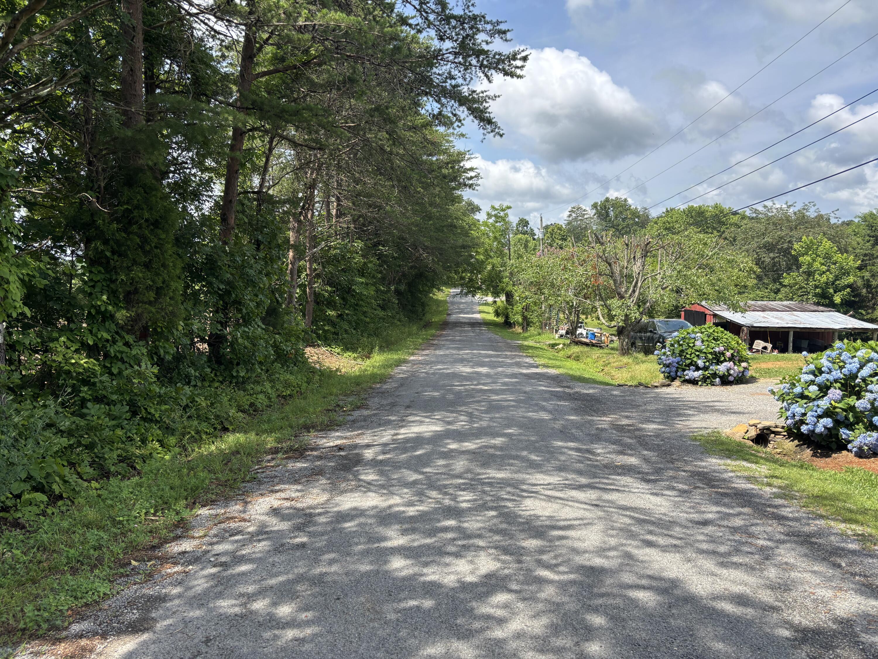 2 Lake Road, Spring City, Tennessee image 8