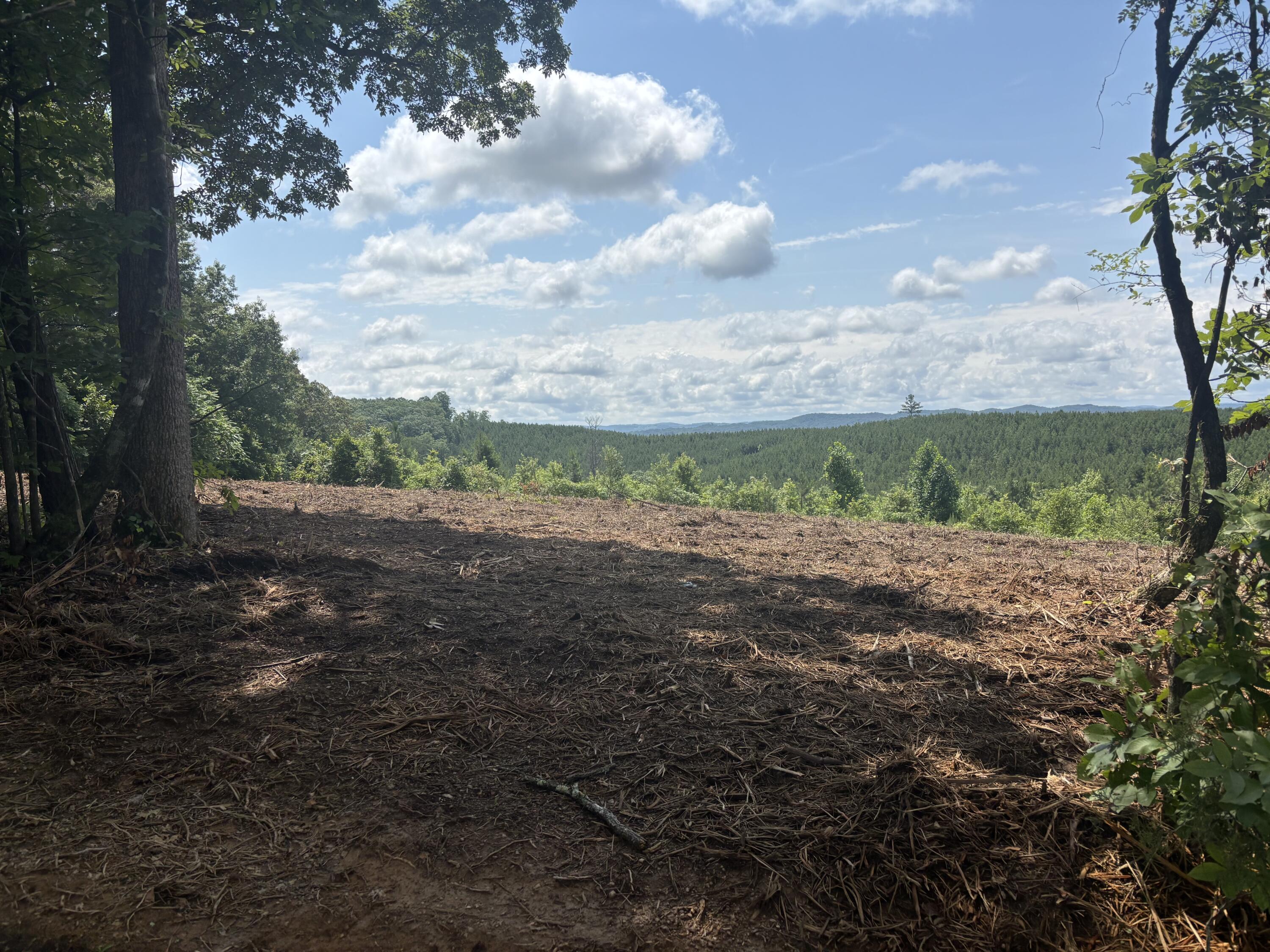 2 Lake Road, Spring City, Tennessee image 1