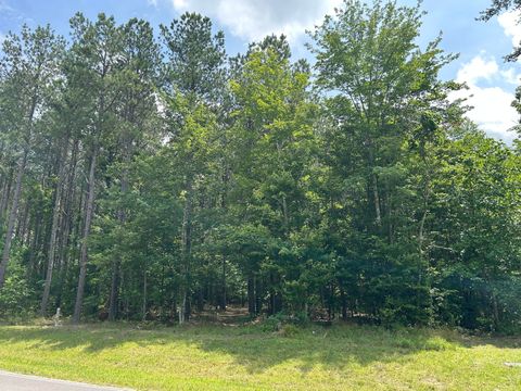 Photo of 4560 Raulston Falls Road, Jasper, TN 37347 (MLS # 1518433)