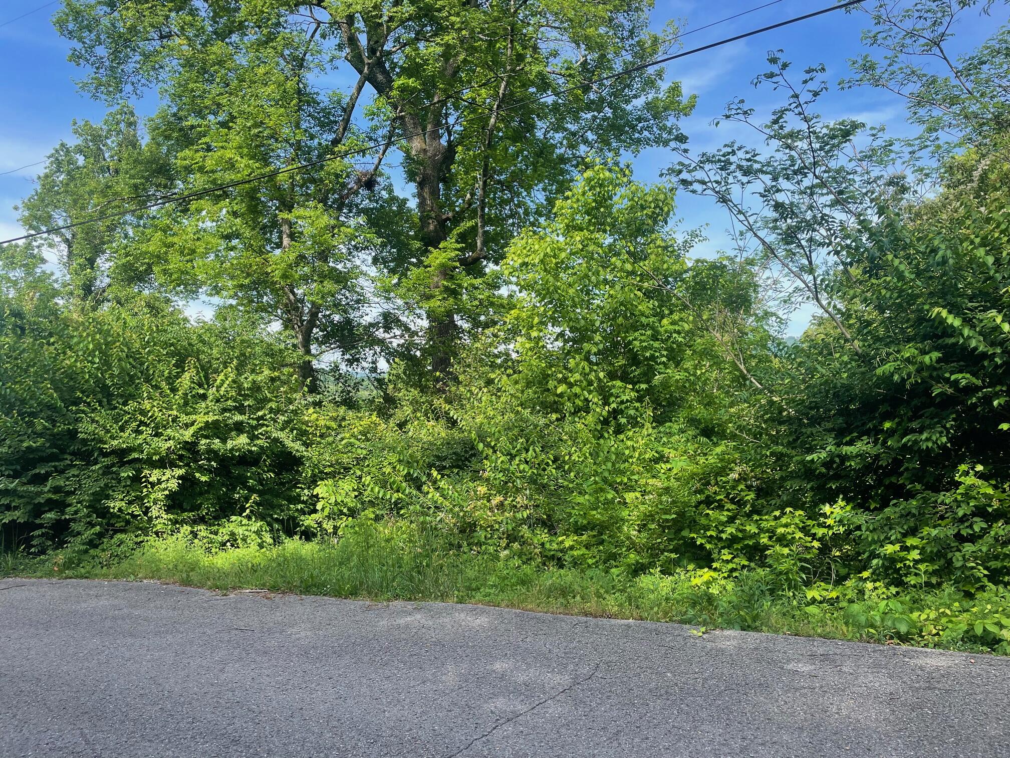 3807 Pickering Ave Avenue, Chattanooga, Tennessee image 1