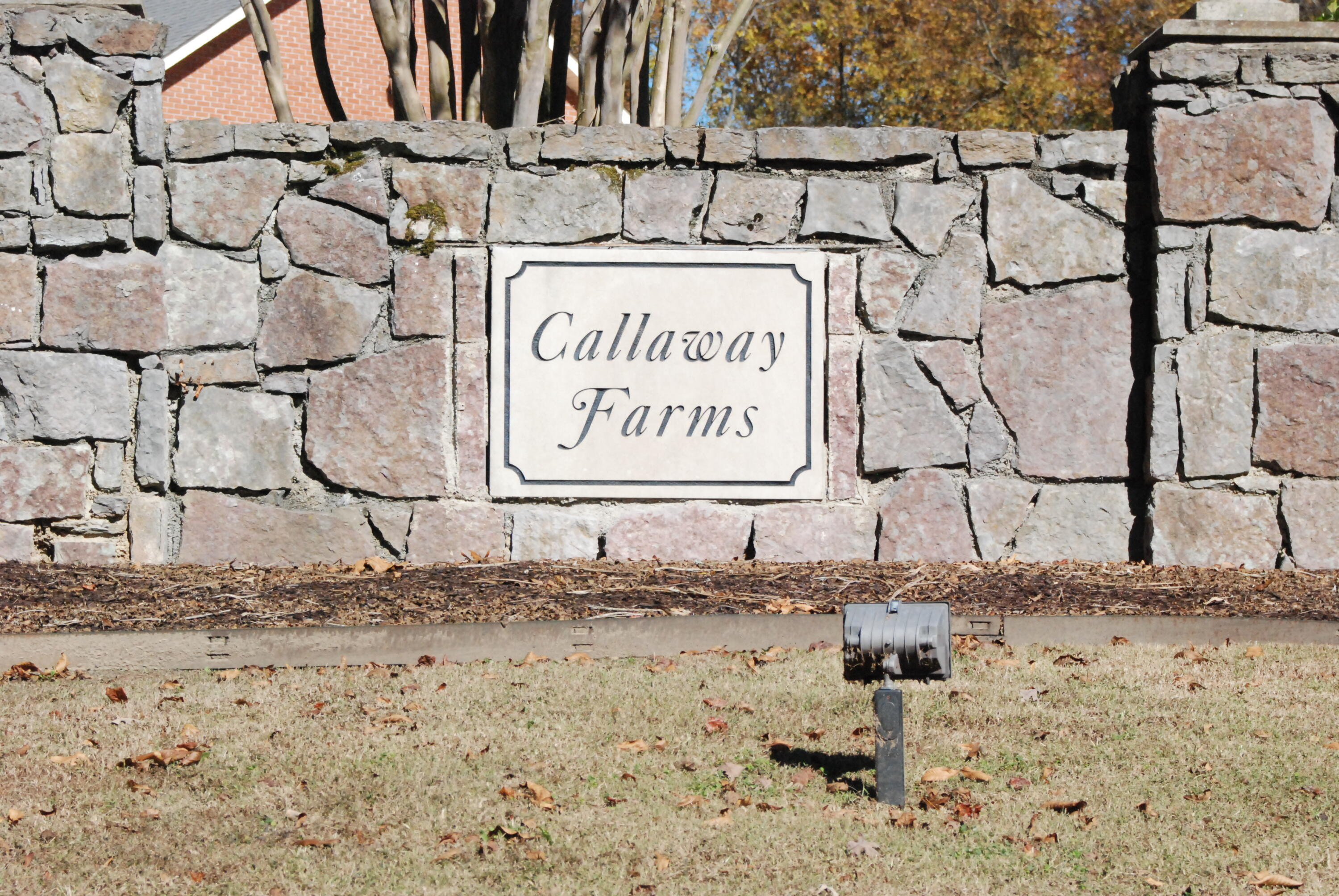 Lot 79 Morning Glory Drive