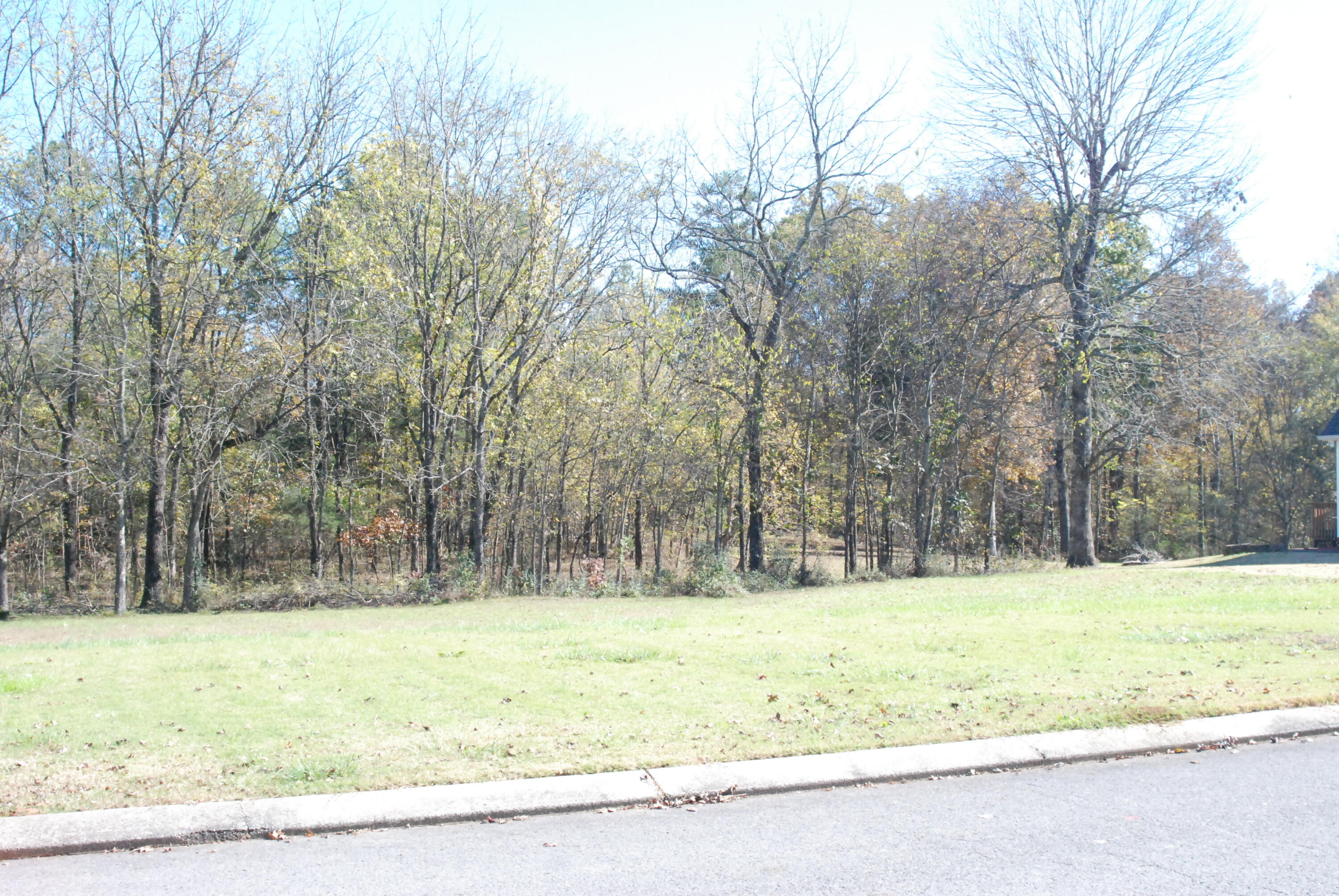 Lot 79 Morning Glory Drive