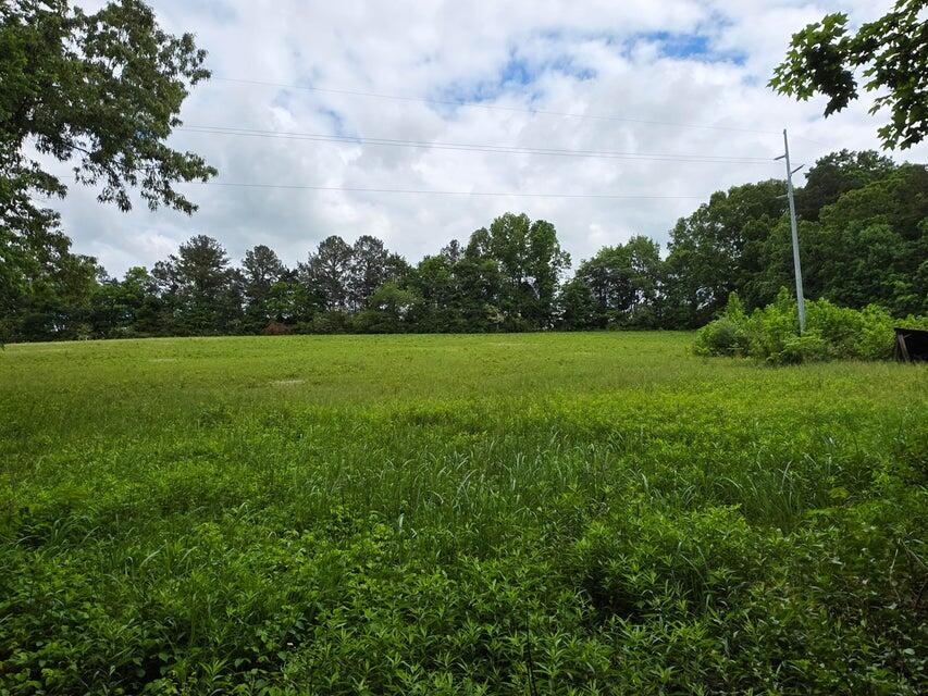 000 Highway 39, Athens, Tennessee image 1