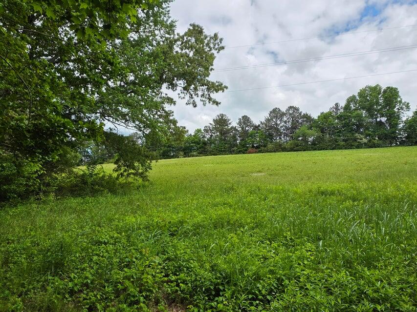 000 Highway 39, Athens, Tennessee image 3