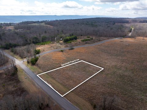Vacant Land For Sale - Gray Rock View<br/> Pikeville, TN 37367