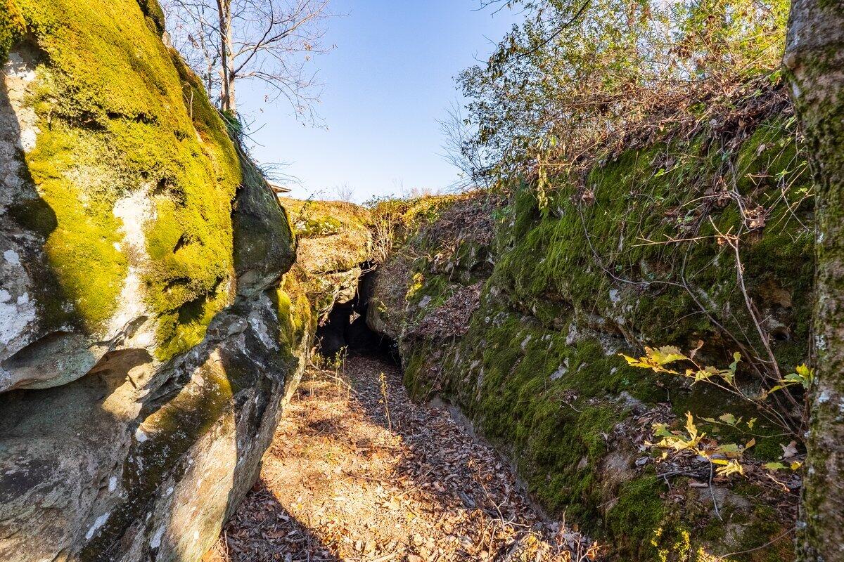 Co Rd 14, Flat Rock, Alabama image 5