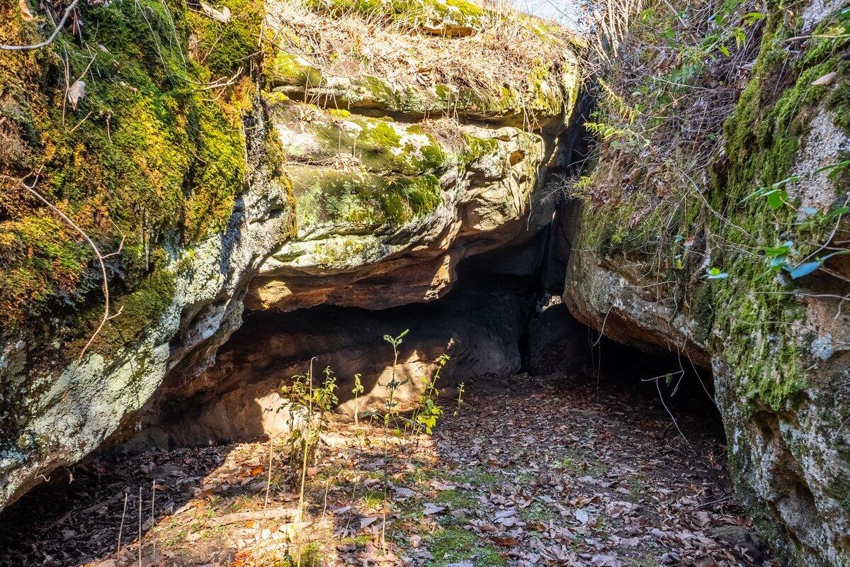 Co Rd 14, Flat Rock, Alabama image 4