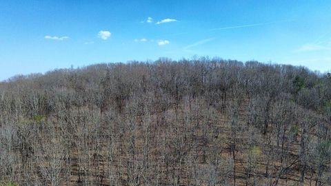 Vacant Land For Sale - 8754 Candies Creek Ridge Road<br/> Charleston, TN 37310