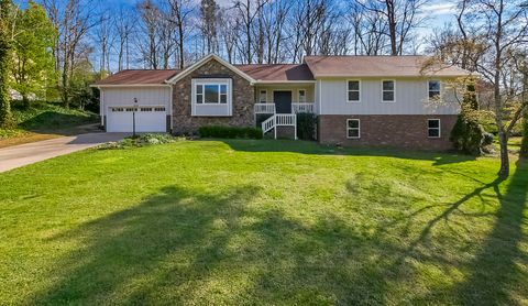 Photo of 603 Hurricane Creek Road, Chattanooga, TN 37421 (MLS # 1530859)