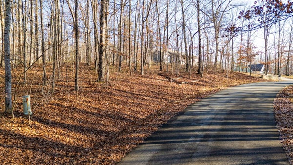 SHADOW ROCK DR, MONTEAGLE, TN 37356 - Image ccc4a6799092d78d8a0da85c87c7cc33/2917350741