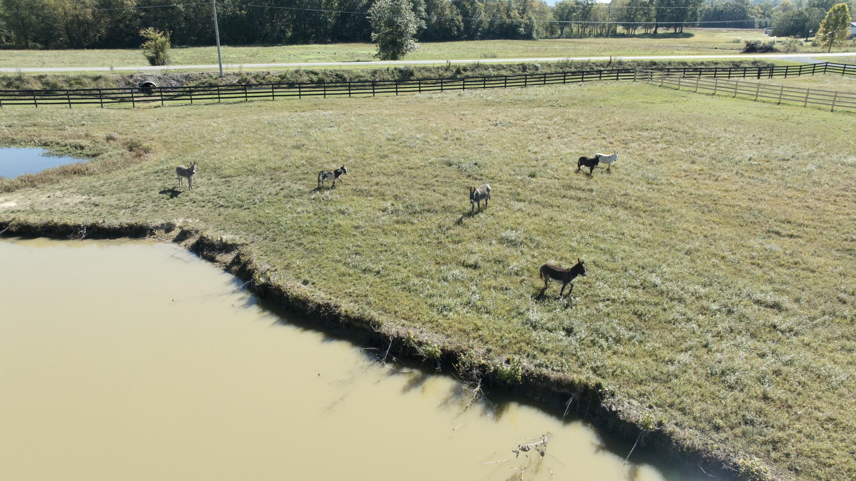 S River Edge Drive, Kimball, Tennessee image 10