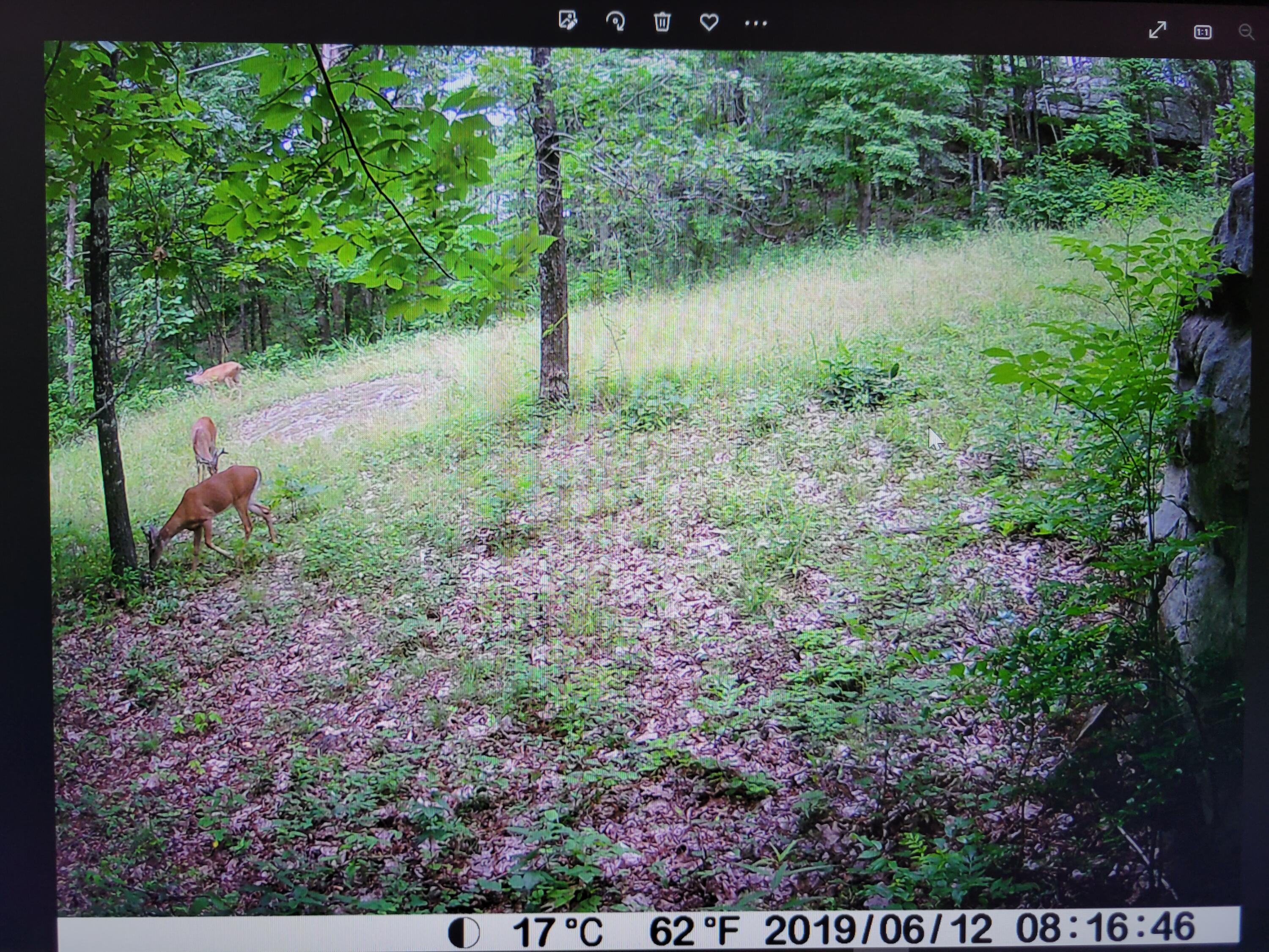 1315 Hotwater Road, Soddy Daisy, Tennessee image 8