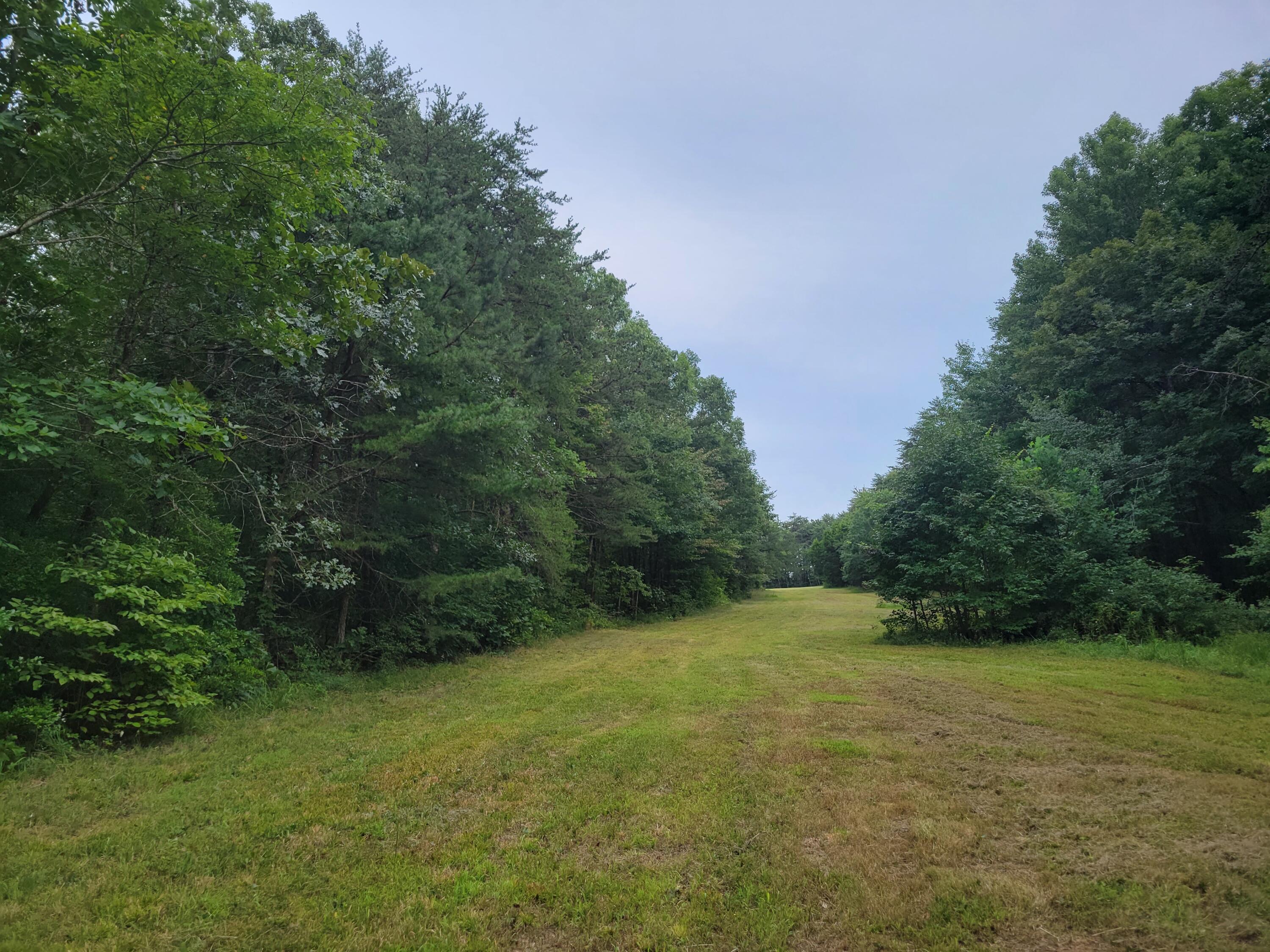 1315 Hotwater Road, Soddy Daisy, Tennessee image 7