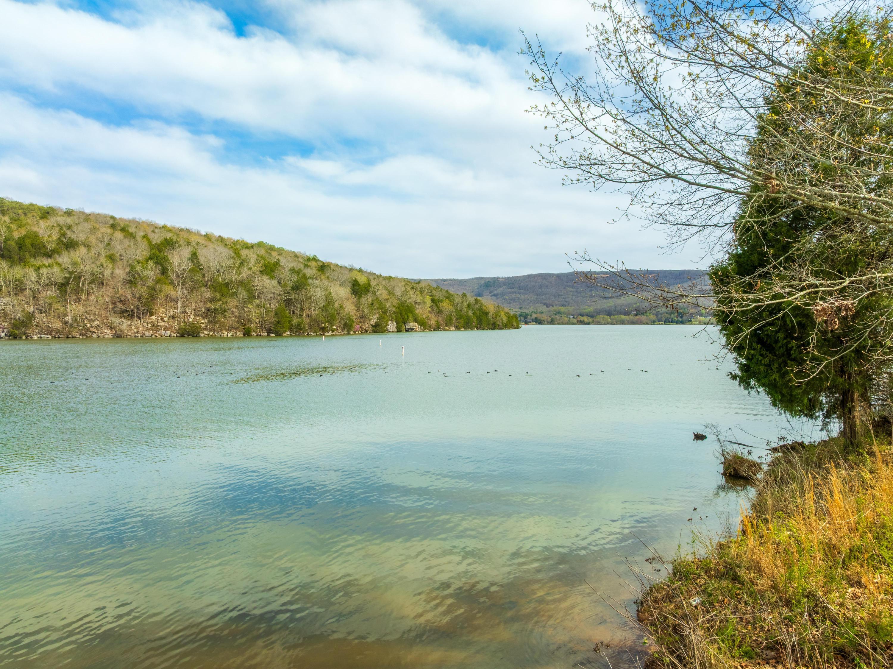 Lot 139 Edgewater Way, Jasper, Tennessee image 1
