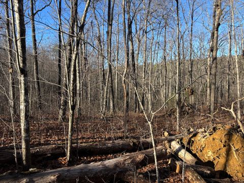 Tiny photo for 0 Deerhead Road, Dunlap, TN 37327 (MLS # 1526540)