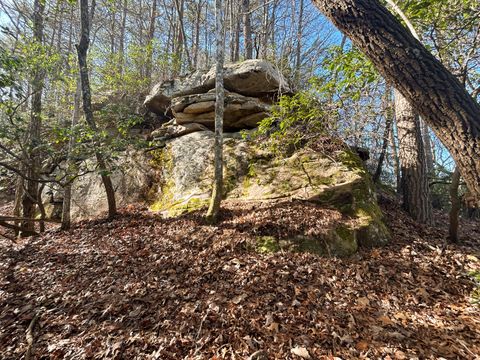 Tiny photo for 0 Deerhead Road, Dunlap, TN 37327 (MLS # 1526540)