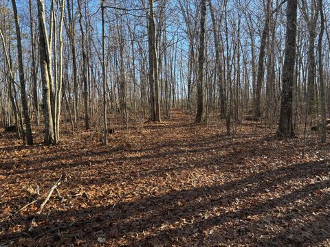 Tiny photo for 0 Deerhead Road, Dunlap, TN 37327 (MLS # 1526540)