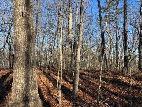 Tiny photo for 0 Deerhead Road, Dunlap, TN 37327 (MLS # 1526540)