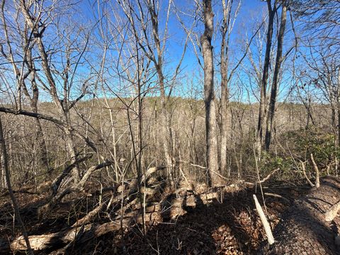 Tiny photo for 0 Deerhead Road, Dunlap, TN 37327 (MLS # 1526540)