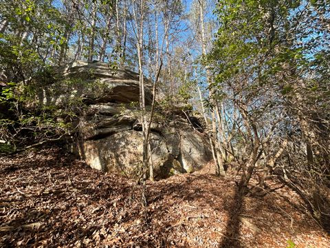 Tiny photo for 0 Deerhead Road, Dunlap, TN 37327 (MLS # 1526540)