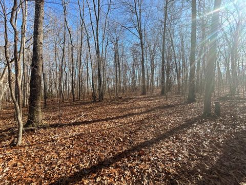 Tiny photo for 0 Deerhead Road, Dunlap, TN 37327 (MLS # 1526540)