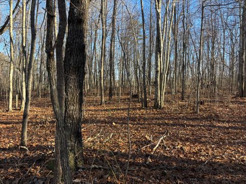 Tiny photo for 0 Deerhead Road, Dunlap, TN 37327 (MLS # 1526540)