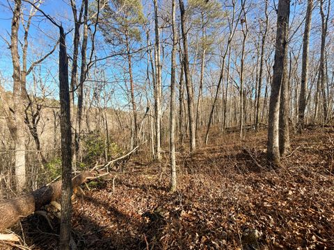 Tiny photo for 0 Deerhead Road, Dunlap, TN 37327 (MLS # 1526540)