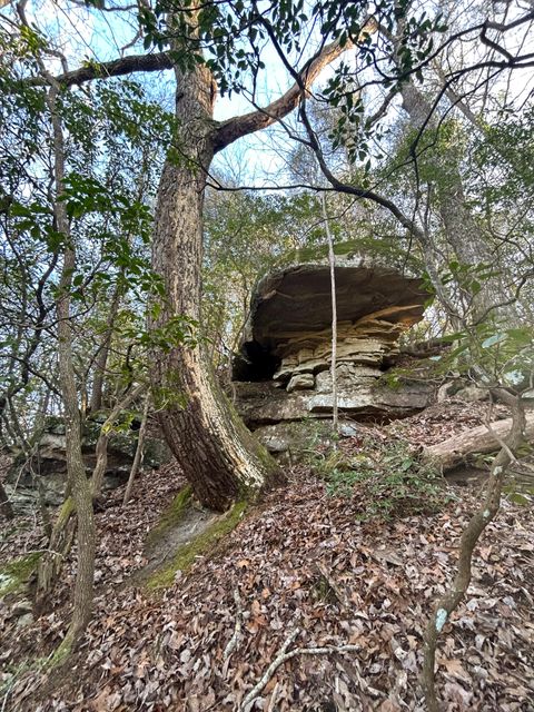 Tiny photo for 0 Deerhead Road, Dunlap, TN 37327 (MLS # 1526540)