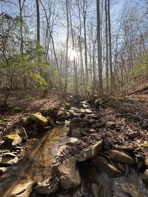 Tiny photo for 0 Deerhead Road, Dunlap, TN 37327 (MLS # 1526540)