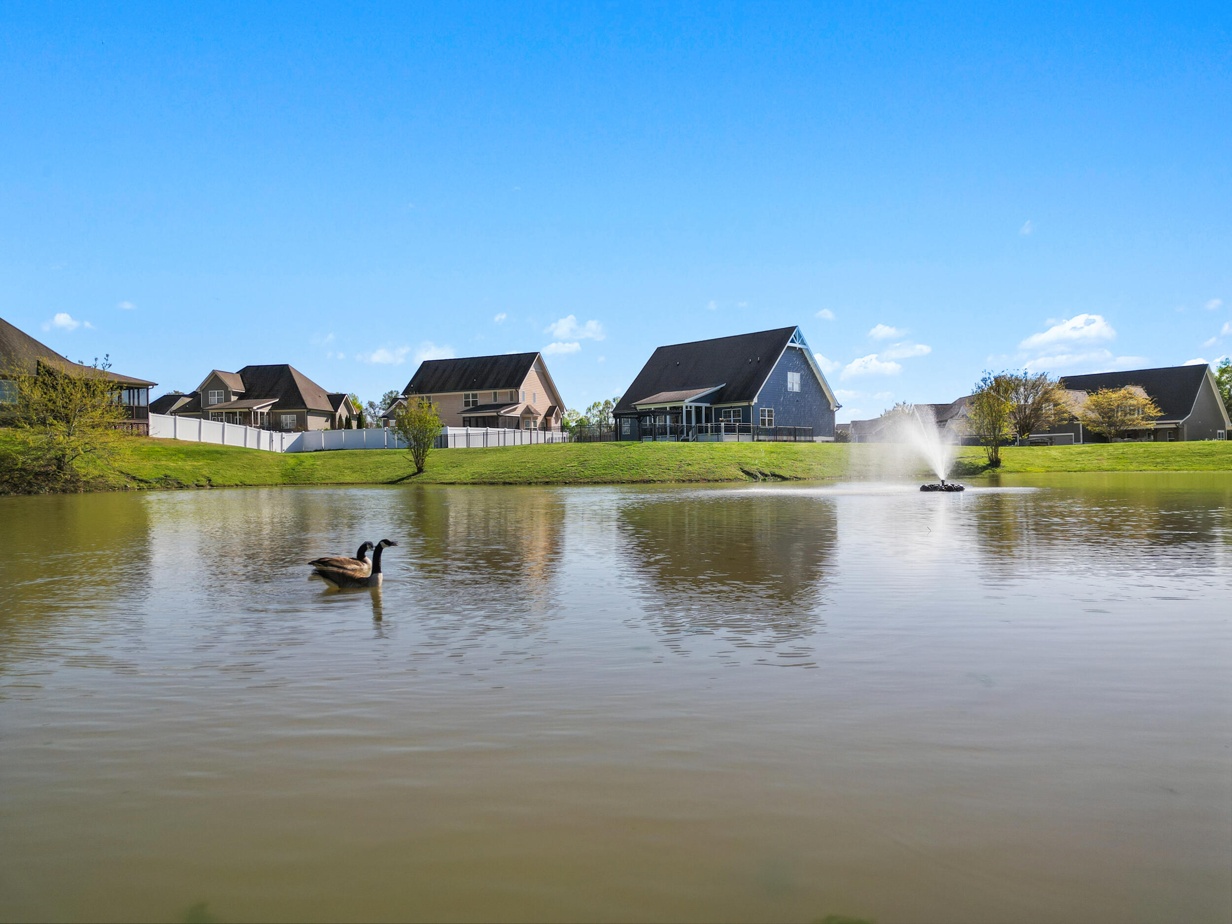 8259 Robertsview Drive, Ooltewah, Tennessee image 34