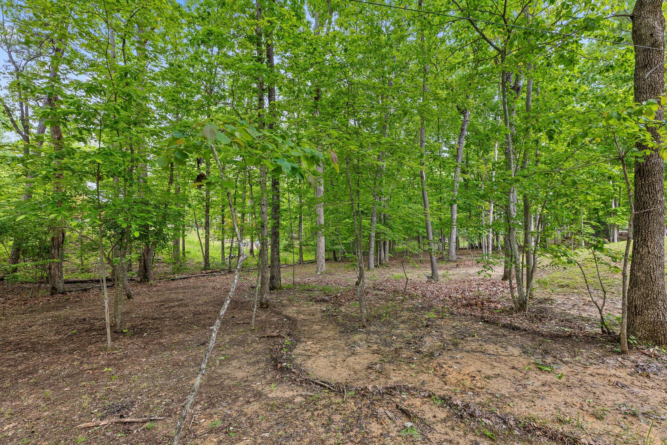 344 Plum Nelly Road, Rising Fawn, Georgia image 33