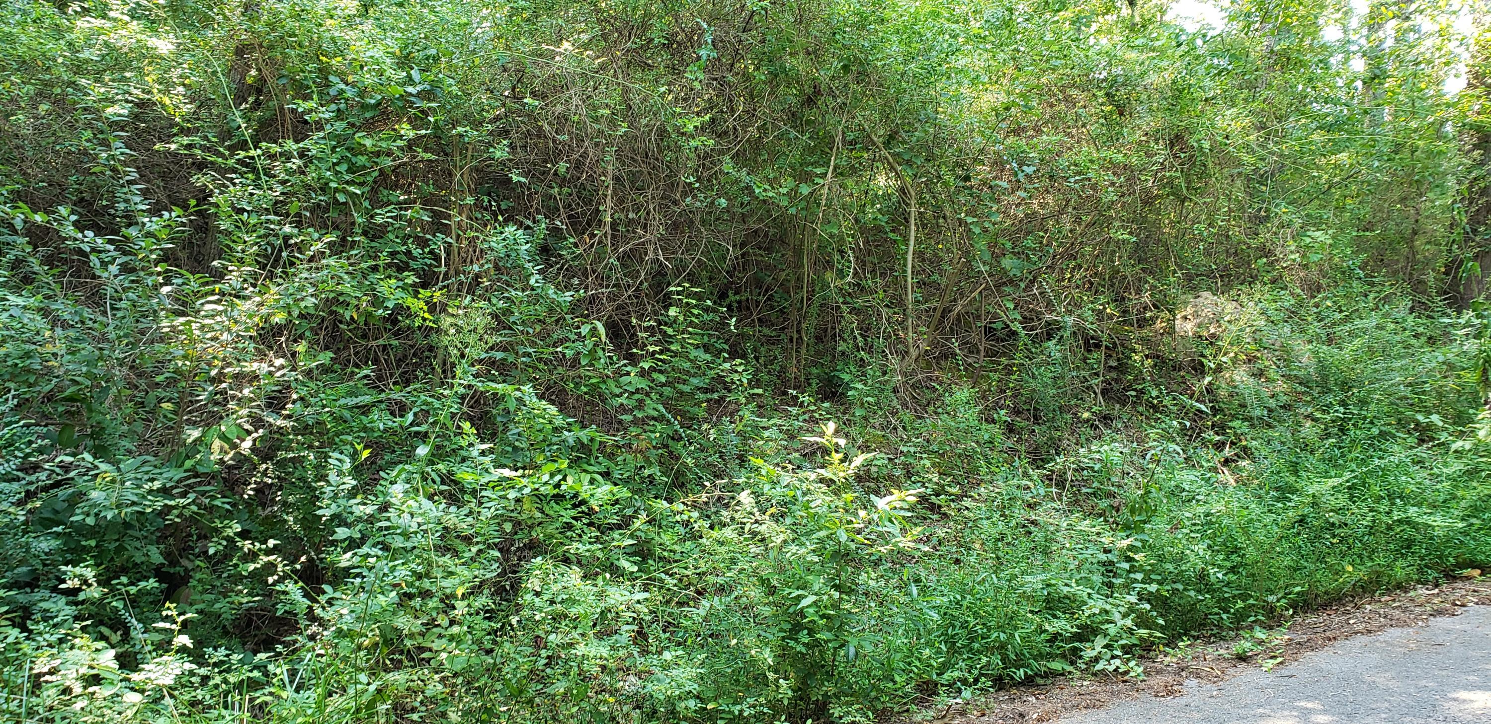 Treeline Drive #4, Dunlap, Tennessee image 9