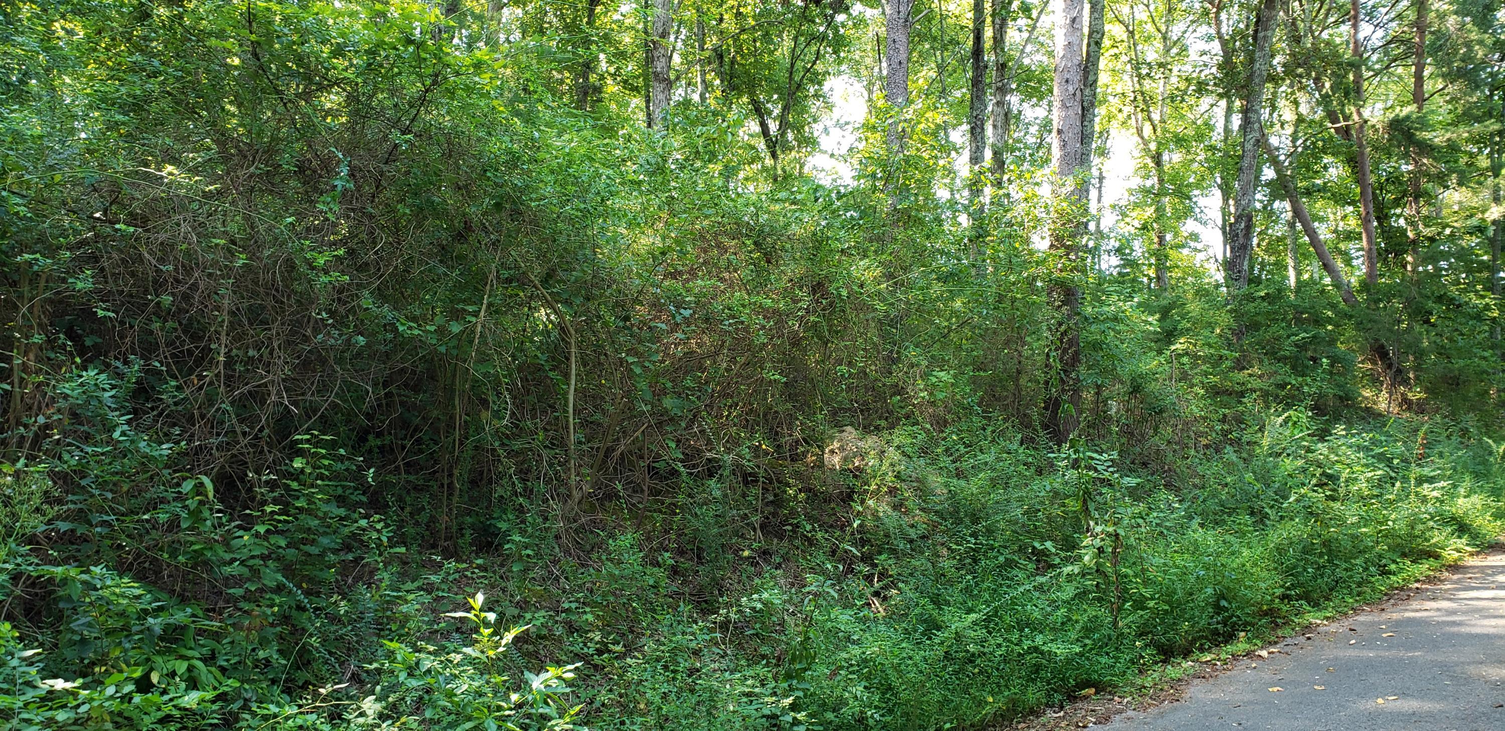 Treeline Drive #4, Dunlap, Tennessee image 1