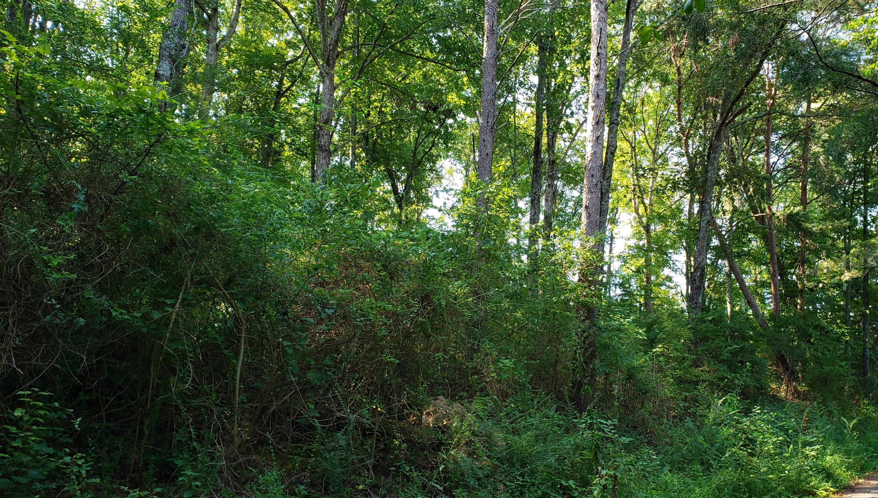 Treeline Drive #4, Dunlap, Tennessee image 3