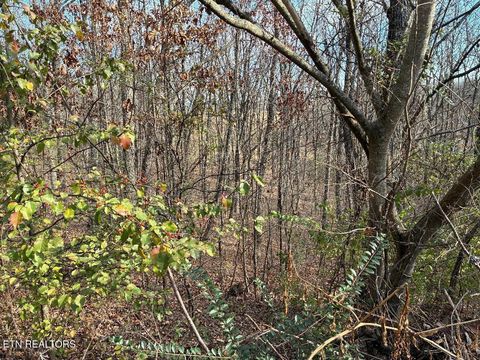 Tiny photo for 00 Poplar Drive Lot 31 Drive, Sweetwater, TN 37874 (MLS # 1530525)