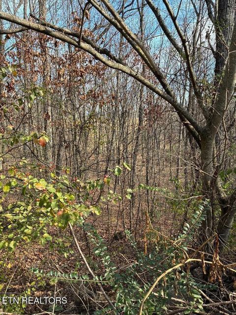 Photo of 00 Poplar Drive Lot 31 Drive, Sweetwater, TN 37874 (MLS # 1530525)