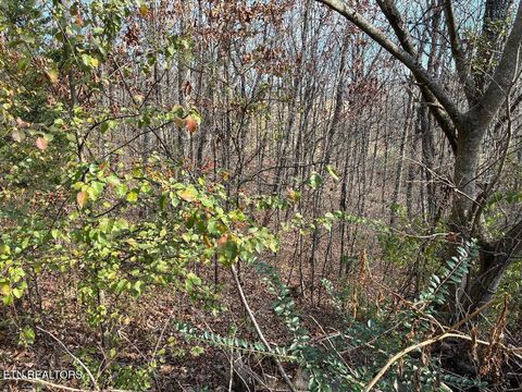 Tiny photo for 00 Poplar Drive Lot 31 Drive, Sweetwater, TN 37874 (MLS # 1530525)