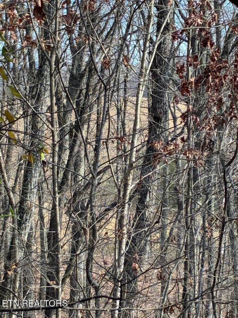 00 Poplar Drive Lot 31 Drive