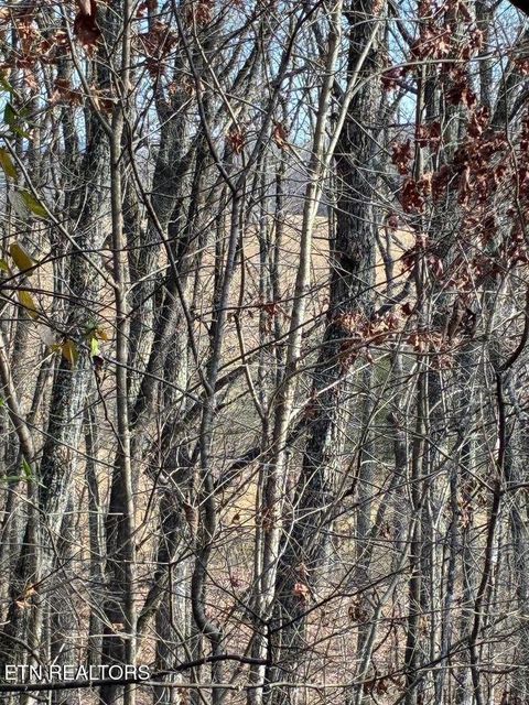 Tiny photo for 00 Poplar Drive Lot 31 Drive, Sweetwater, TN 37874 (MLS # 1530525)