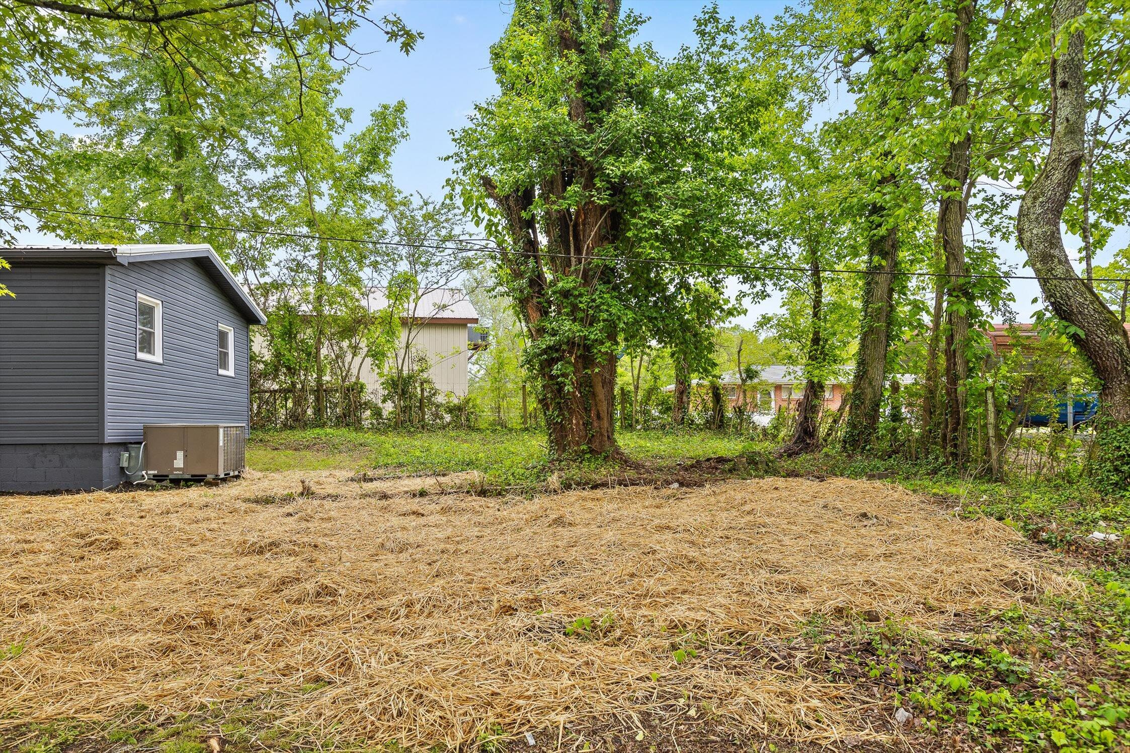 97 Baker Street, Tracy City, Tennessee image 6