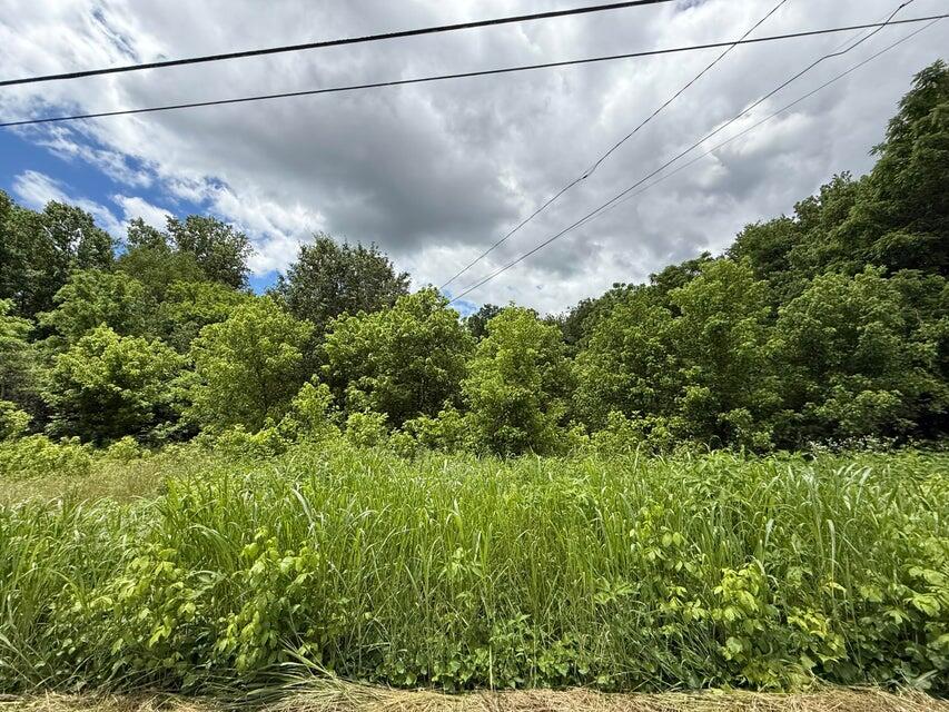 515 Evensville Mtn Road, Evensville, Tennessee image 3