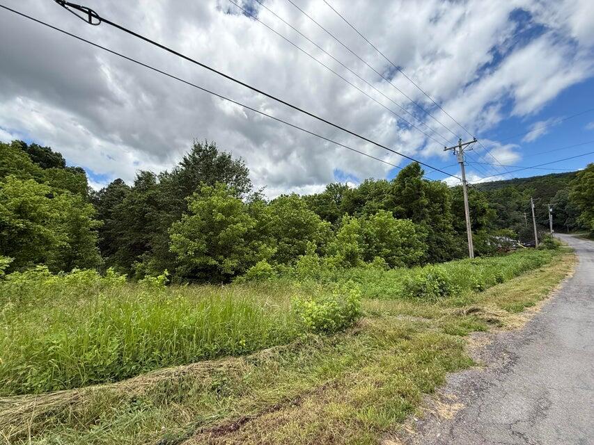 515 Evensville Mtn Road, Evensville, Tennessee image 4