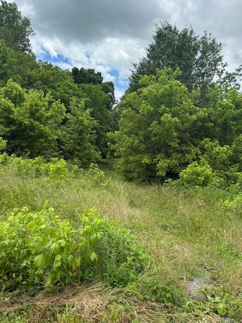 515 Evensville Mtn Road, Evensville, Tennessee image 2