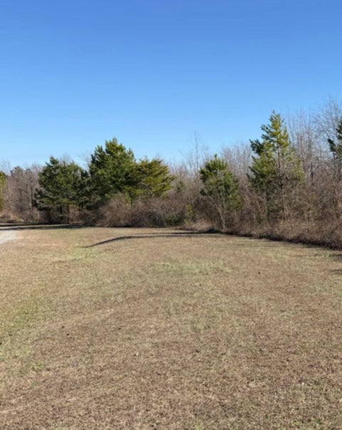 Homes For Sale - 7350 Alabama 73<br/> Jackson County, Bryant, AL 35958