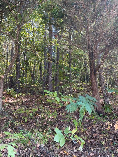 Tiny photo for 902 Chestnut Wood Lane, Chattanooga, TN 37421 (MLS # 1509478)