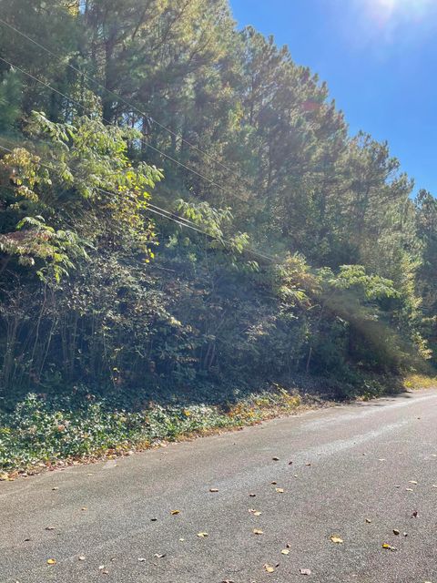 Tiny photo for 902 Chestnut Wood Lane, Chattanooga, TN 37421 (MLS # 1509478)